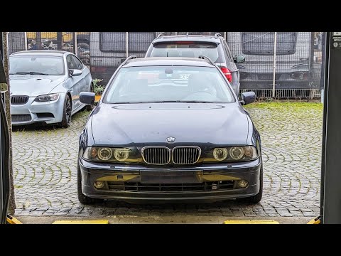 OEM Overhaul of a Tired BMW E39 530i Touring - Project Rottweil: P3