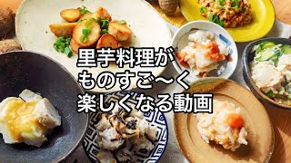 【里芋レシピ10品】あっという間の簡単レシピ大集合！秋冬の味覚｜皮むきも簡単！里芋大量消費｜里芋レシピ｜satoimo