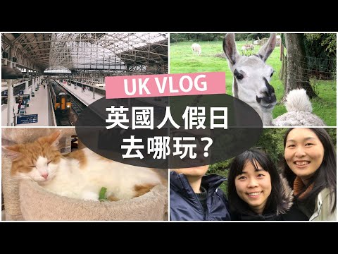 UK VLOG: 珍珠奶茶｜燈籠節🏮｜貓咪 cafe🐈｜英國假日生活 🇬🇧