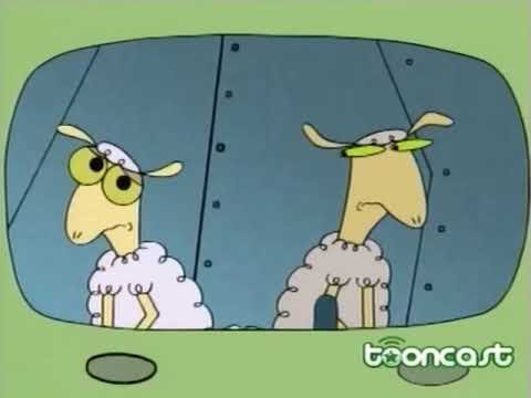 Sheep en la Gran Ciudad - Cumple con tu ovino deber