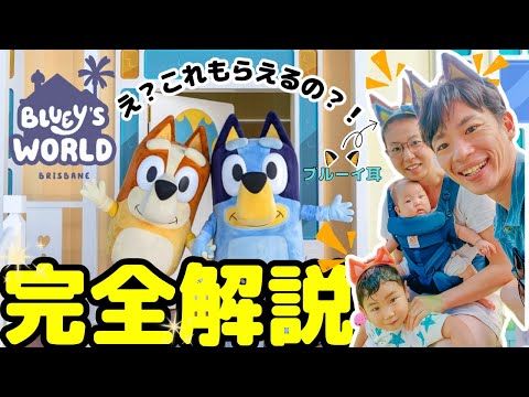 ブルーイワールド完全ガイド！ブリスベンの子供も大人も楽しめるスポット大公開【BLUEY'S WORLD BRISBANE: Everything You Need to Know!】