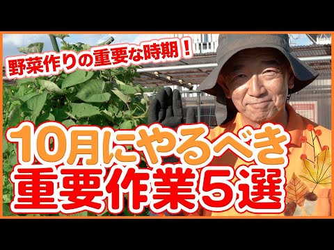 家庭菜園や農園で10月にやるべき作業5選！野菜作りの重要な時期！秋冬野菜栽培の発芽率をアップさせる資材をご紹介！【農園ライフ】