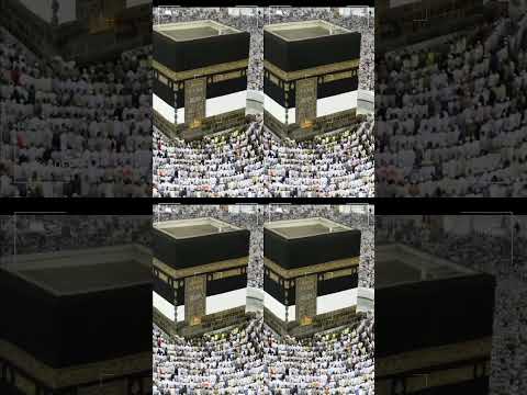 ya Rab E Mustafa tn mjy hajj py bola ly #youtubeshorts #yarabbemustafa #shorts