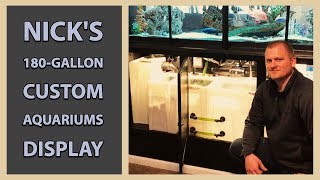 Nick's 180-gallon Custom Aquariums Display