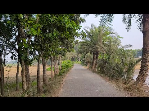 Village Bike Riding with My Friends | AR Music Bd