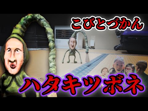 【こびとづかん】ハタキツボネの謎？！