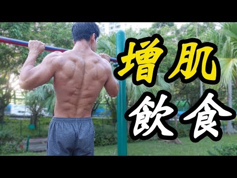 Bulking Basic - Nutrition & Muscle Growth Rate (Will You Get Fat?)