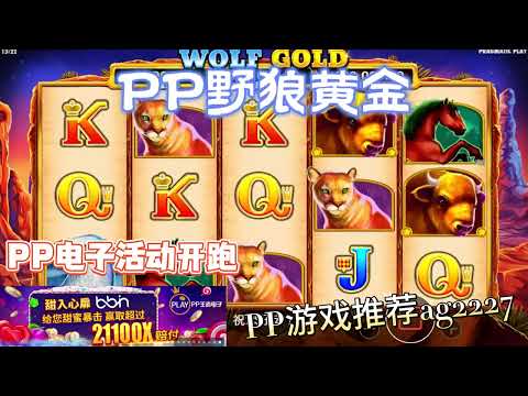 PP电子『野狼黄金』转出多只野狼后晚上直接加菜了#PP#PPslot#slot#PP电子#wild#jackpot#电玩爆分游戏#电玩游戏解说#电子游戏介绍#电子游戏推荐