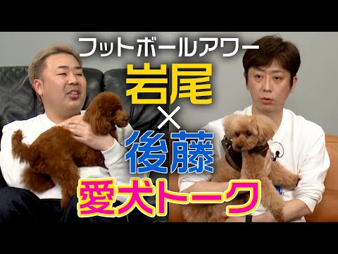 【岩尾×後藤】楽屋で2人きりトーク【トイプードル×犬のしつけ】