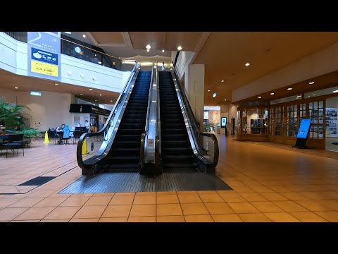 Plaza House Shopping Center Escalator 1F-2F/MITSUBISHI