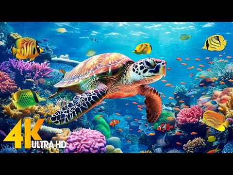 Ocean 4K - Sea Animals for Relaxation, Beautiful Coral Reef Fish in Aquarium(4K Video Ultra HD) #107