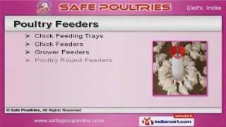 Poultry Equipment by Safe Poultries, New Delhi