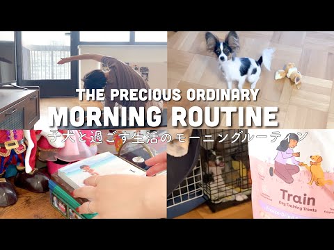 [ morning routine ]Morning routine of life with a puppy｜Waking up at 6:30 a.m.