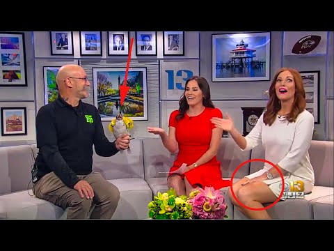 Best Animals News Bloopers OF All Time