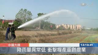 長江中下游降雨異常 多省旱災農產歉收