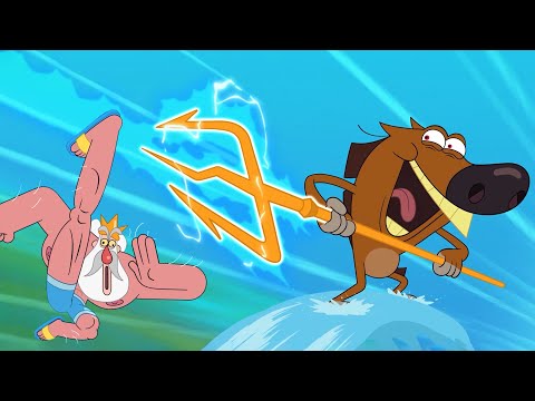 ZIG AND SHARKO | Duel at the summit (Compilation) New episodes | Cartoon Collection for kids