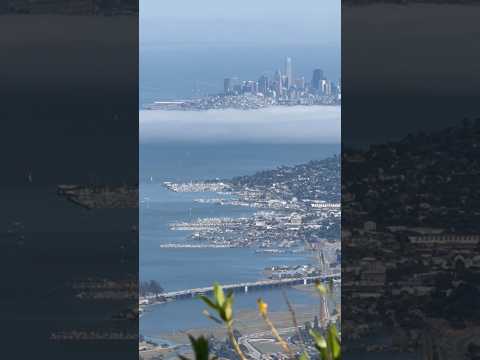 Breathtaking view of the San Francisco Bay Area from Mount Tamalpais East Peak in Marin, California!