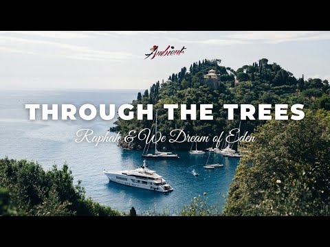 Raphah & We Dream of Eden - Through the Trees [ambient meditation relaxing]