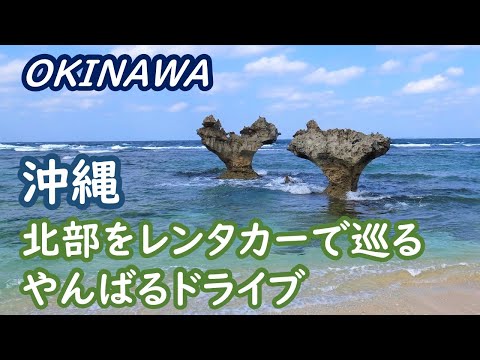 (JAPAN TRIP) Visit Northern Yanbaru, Okinawa: Oishibayashiyama, Kouri Island, Heart Rock, Aquarium