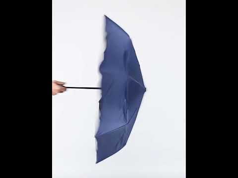 [Little B House] Auto Open Close Umbrella Automatic Umbrella Foldable Windproof 自动雨伞折叠 - UM01