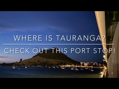 Cruise New Zealand | Tauranga Port Stop |Travel and Cruise Tips