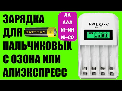 Удобное быстрое зарядное устройство для AA AAA аккумуляторов ni-mh ni-cd PALO с Алиэкспресс и Озон