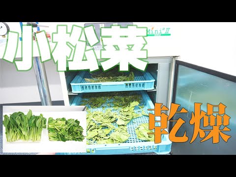 【乾燥比較】小松菜を乾燥（E3H）