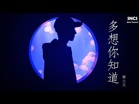 衡小只 - 多想你知道 | 高音質動態歌詞