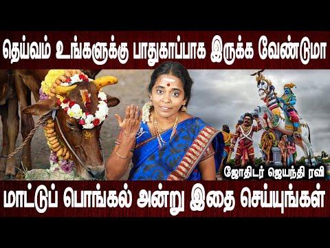 இப்படி வேண்டிக் கொண்டால் வேண்டுதல் பலிக்கும் | Maatu pongal vazhipadu | Jothidar Jayanthi Ravi