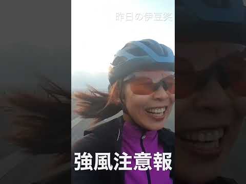 西風強い日に伊豆半島の石廊崎に自転車で行ったら酷い目にあった笑