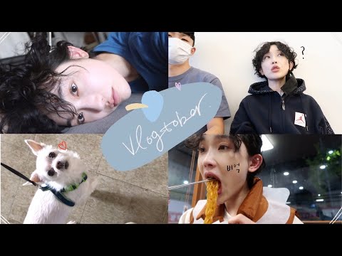 vlogtober. 평범한 하루들 (신개념 대중교통 Beam🛴, 먹고 또먹고, 나홀로 추석, 커피-커피🍂)