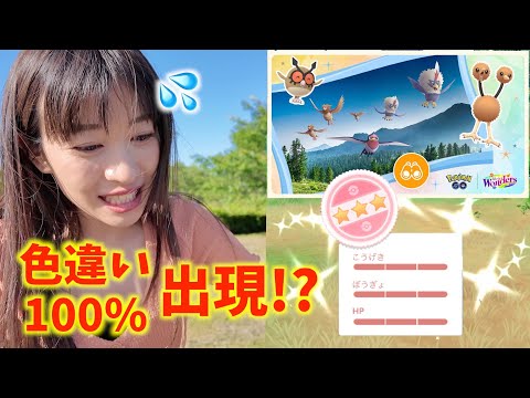 【神回？】色違い100が出た！？!?リサーチデイで完全にやらかしたYouTuberはこちらです。