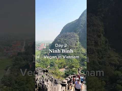 Day 2 Vegan in Vietnam Tour #vegantravel