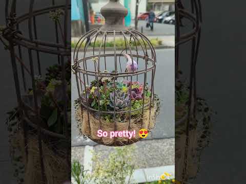 Beautiful cute garden on the sidewalk on a road in Shin-Yokohama