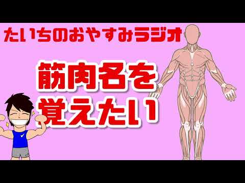 筋肉名を覚えたい！そう感じたらモチベーション高い証拠かも？【たいちのおやすみラジオ】