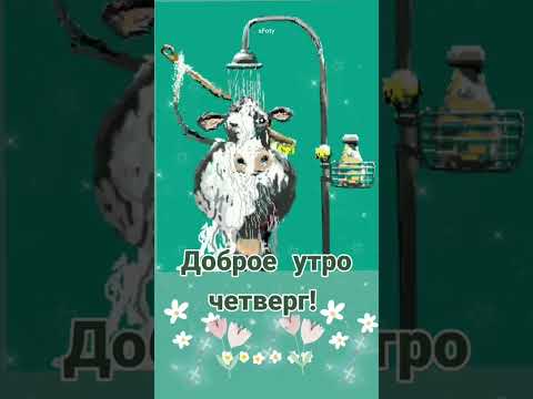 Доброе утро, Четверг!