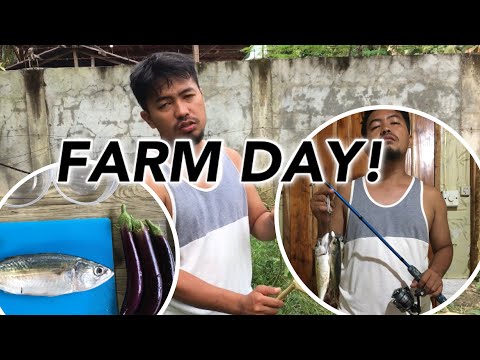 FARM DAY! LAND PREPARATION FOR OUR VEGETABLE FARMING! COOKING ANDUHAW FROM LAST NIGHT’s CATCH!