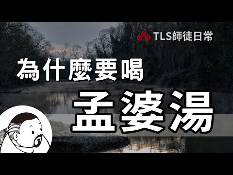 投胎前必喝【孟婆湯】｜為什麼洗掉靈魂的記憶？奈何橋、投胎、轉世｜靈界的視角