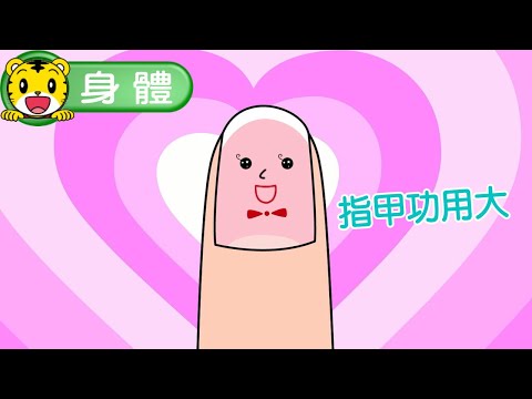 2024年12月號學習版【健康小知識】指甲功用大