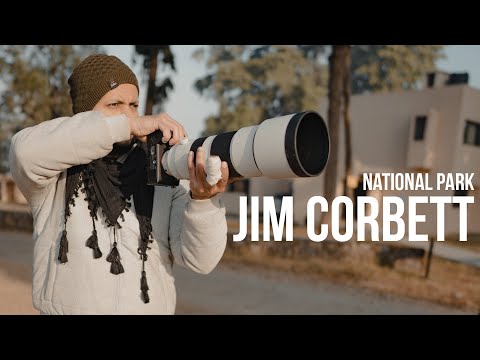 Jim Corbett National Park | Jungle Safari | How to Book Dhikala Forest Rest House & Safari