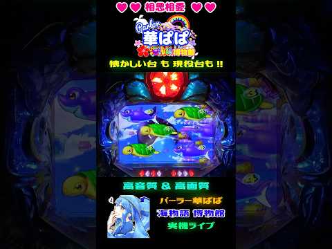 🎯大当り濃厚🎯🐠魚群＋巨大魚系リーチ🐠✨シャチリーチ✨🌺沖海2・マリンモード🌺【 パーラー華ぱぱ・海物語 博物館 】ショート動画 #shorts