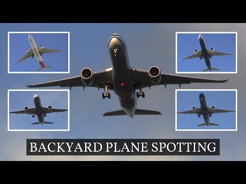 Backyard Plane Spotting | Auckland Airport Approach