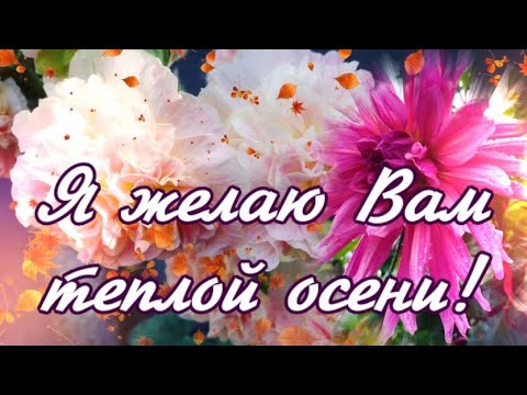 Я ЖЕЛАЮ ВАМ ТЕПЛОЙ ОСЕНИ! СЧАСТЛИВОЙ ДОРОГИ В ОКТЯБРЬ!Невероятно красивая музыка Сергея Чекалина!