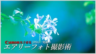 【Canon女子必見】JPEG撮って出しでふんわりエアリーフォト！カメラ内設定のみで一発簡単撮影！