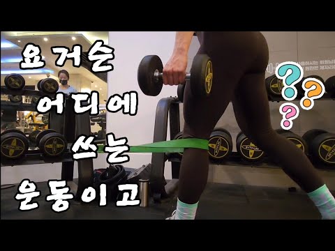 유투브로 배운 하체 운동 | 고중량 하체 운동 브이로그