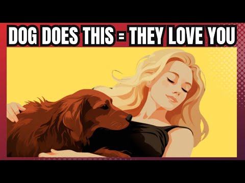 11 Scientific Ways To Know If Your Dog Loves You - Proven Signs & Ways Dogs Show & Say I Love You