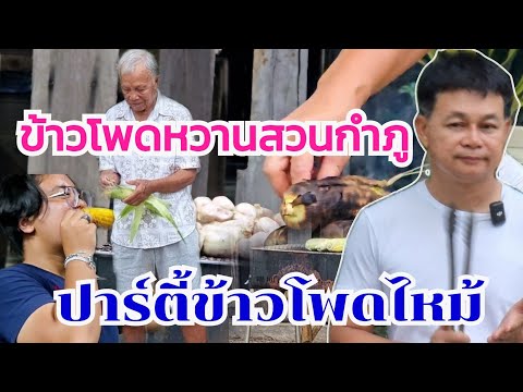 ฉลองข้าวโพดหวานสดจากสวน ปิ้งรอแม่แต่เป็นแบบนี้ #บ้านสวนกำภูEp1116