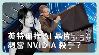 英特爾推 AI 晶片 Gaudi 3，能成為 NVIDIA 殺手嗎？《圖然說科技》EP.40