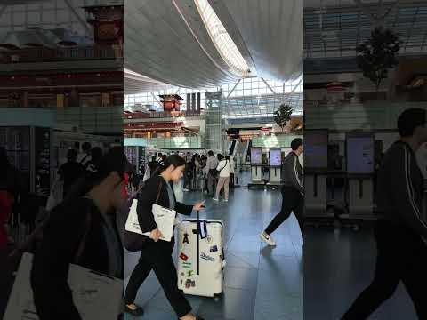 羽田空港散歩 |【4K】 Walking Haneda Airport Tokyo Japan (May 2024) #shorts