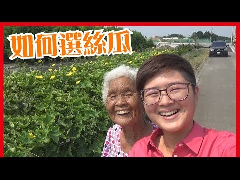 如何挑選好吃的絲瓜／菜瓜│【6秒挑出好食材】│台灣蔬菜水果魚肉知識│6YingWei快樂姊+快樂嬤